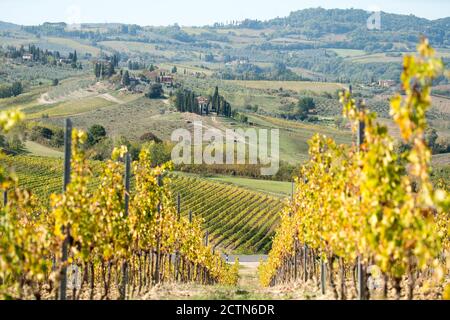 Vineyards in Tucany, Italy, near San Gimigiano Stock Photo