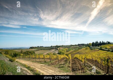 Vineyards in Tucany, Italy, near San Gimigiano Stock Photo