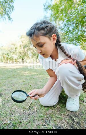 Curious girl with braids sitting on grass in park and studying soil using magnifying glass Stock Photo