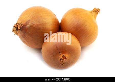 three onion bulbs isolated on a white background Stock Photo