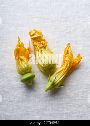 Fresh raw zucchini flowers on white linen background Stock Photo