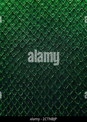 Snake leather texture Stock Photo