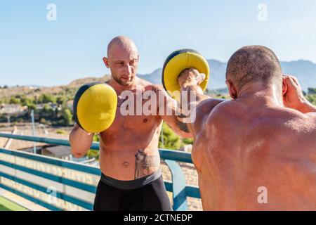 Strong male boxer doing punches in boxing mitts put on trainer in spacious gym during workout Stock Photo