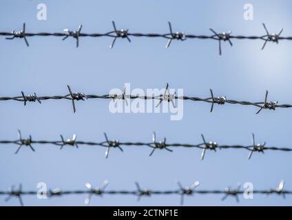 Four lines of barbed wire with a shallow depth of field and a blue sky background. Stock Photo