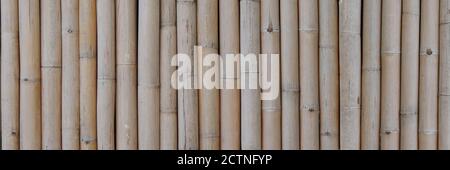 Dry brown bamboo banner pattern background. Dry bamboo background. Stock Photo