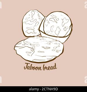 Hand-drawn Taboon bread bread illustration. Flatbread, usually known in Asia. Vector drawing series. Stock Vector