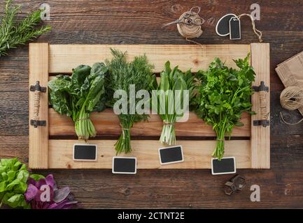 Herb leafs on wood table Stock Photo