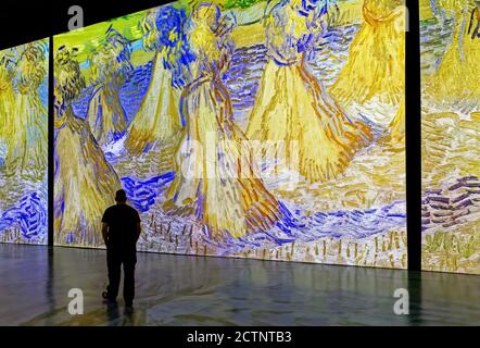 People at the Imagine Van Gogh immersive exhibition in Quebec City, Canada Stock Photo