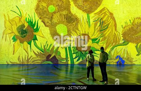 People at the Imagine Van Gogh immersive exhibition in Quebec City, Canada Stock Photo