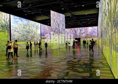 People at the Imagine Van Gogh immersive exhibition in Quebec City, Canada Stock Photo