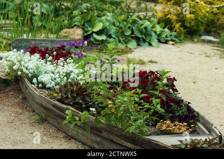 Beautifully designed flowerbed in the form of a boat. Stock Photo