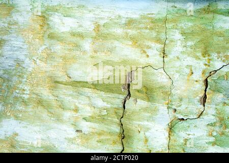 Green painted damaged grunge wall background or texture Stock Photo