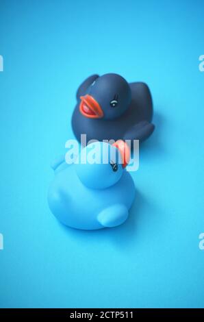 Two isolated toy rubber ducks in dark blue and light blue color on a blue background Stock Photo
