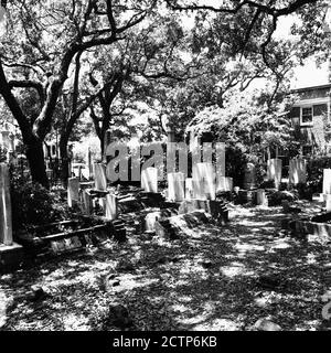 old burial grounds in Beaufort, NC Stock Photo