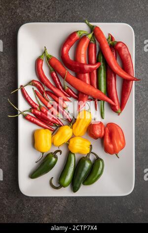 Various types of chili peppers. Chili, habanero and jalapeno peppers. Red, green and yellow hot peppers on plate. Top view. Stock Photo