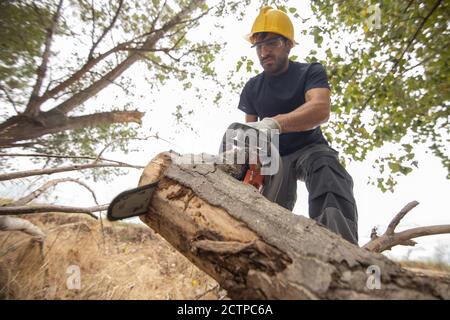 Closeup of a lumberjack with a chainsaw in a forest Stock Photo