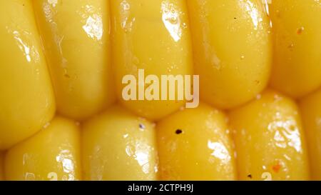 Delicious corn on the cob captured in an extreme close up. The brightly glowing yellow kernels form a recognizable pattern. Stock Photo