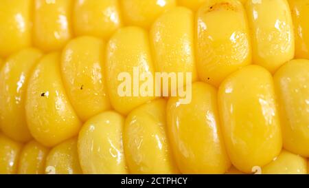 Delicious corn on the cob captured in an extreme close up. The brightly glowing yellow kernels form a recognizable pattern. Stock Photo