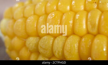 Delicious corn on the cob captured in an extreme close up. The brightly glowing yellow kernels form a recognizable pattern. Stock Photo