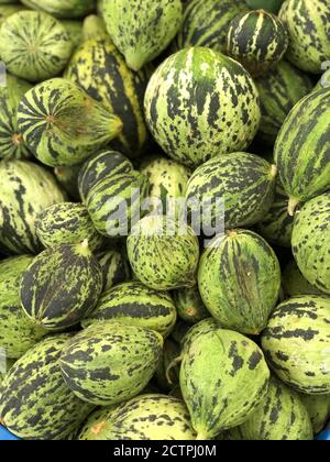 Green watermelons background, vertical image. Soft and selective focus Stock Photo