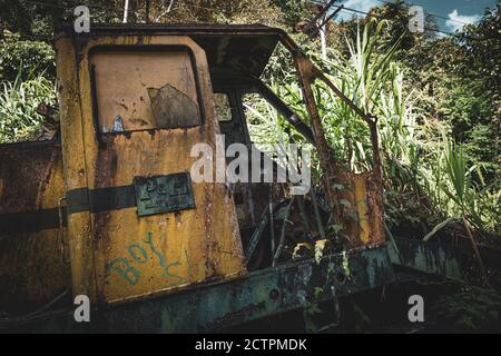 Inanam, Sabah, Malaysia: Mother Nature strikes back. An overgrown construction machine. Stock Photo