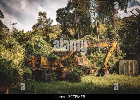 Inanam, Sabah, Malaysia: Mother Nature strikes back. An overgrown construction machine. Stock Photo