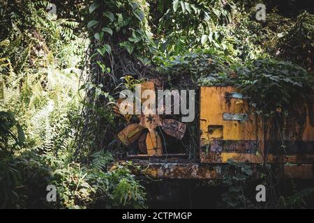 Inanam, Sabah, Malaysia: Mother Nature strikes back. An overgrown construction machine. Stock Photo