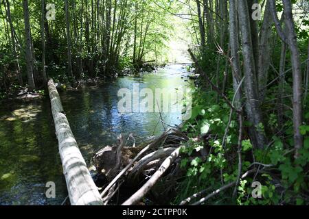 Trinity River at Kimtu Beach, Northern California Stock Photo