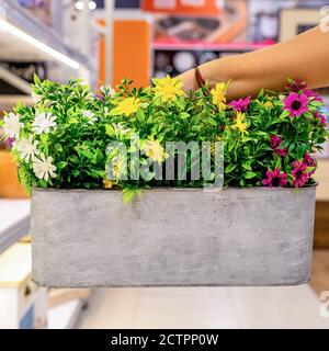 Holding artificial flower plant in the pot Stock Photo