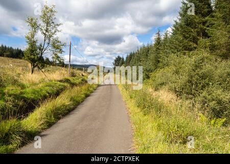 Long distance walking on the Rob Roy Way between Drymen and Aberfoyle, Stock Photo