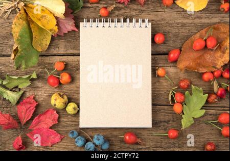 Autumn layout of Notepad, berries and leaves on a natural wooden background. Stock Photo