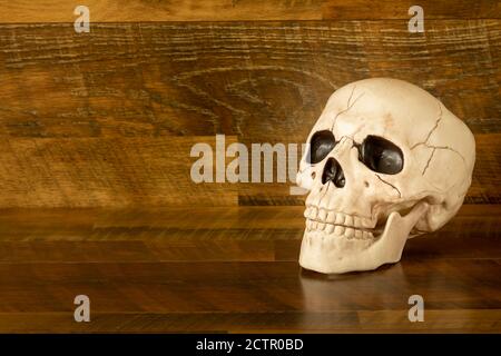 Artificial  human skull on wooden background with copy space Stock Photo