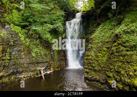 Tall waterfall in a narrow canyon surrounded by green foliage (Sgwd Einion Gam, Waterfall Country, Wales) Stock Photo