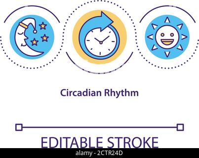Circadian rhythm concept icon Stock Vector