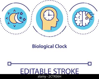 Biological clock concept icon Stock Vector
