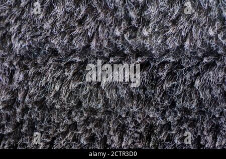 White Grey, Dark Brown Wolf Fox Fur Natural, Animal Wildlife Concept and Style for Background, textures and wallpaper. Close up Full Frame. Stock Photo