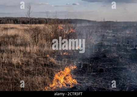 Closeup of burning grass - the concept of global harm to the natural environment Stock Photo