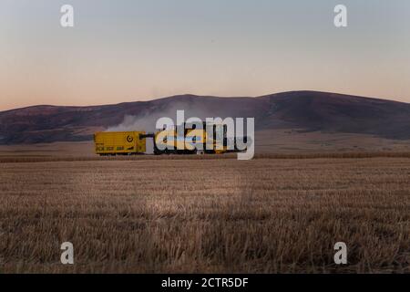 A Combine Harvester works in a field in sivas türkiye Stock Photo