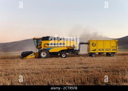 A Combine Harvester works in a field in sivas türkiye Stock Photo