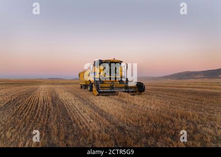 A Combine Harvester works in a field in sivas türkiye Stock Photo