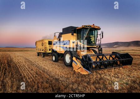 A Combine Harvester works in a field in sivas türkiye Stock Photo