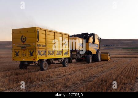 A Combine Harvester works in a field in sivas türkiye Stock Photo