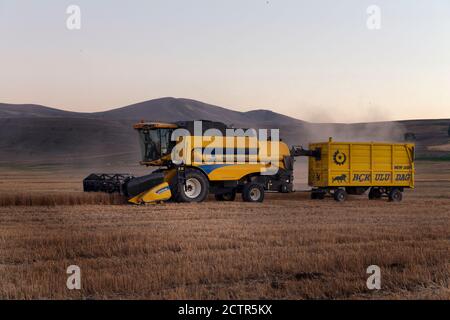 A Combine Harvester works in a field in sivas türkiye Stock Photo