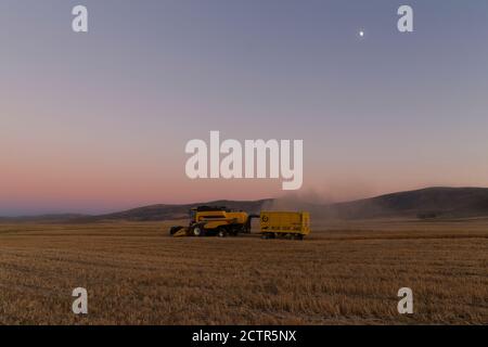 A Combine Harvester works in a field in sivas türkiye Stock Photo