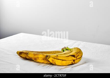 Ugly overripe organic bananas on the white table. Healthy eating zero wast concept. Stock Photo