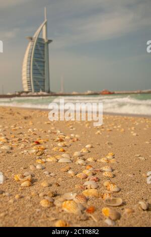 Seashells by the Burj Al Arab on the shores of the Persian Gulf in Dubai, United Arab Emirates (UAE). Stock Photo