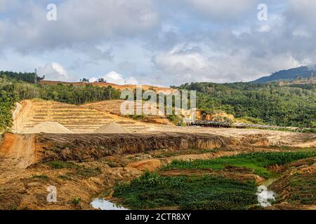 Sigapon, Sabah, Malaysia: Freshly re-shaped terraces of an oil palm plantation in Keningau District, before replanting. Stock Photo