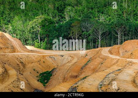 Sigapon, Sabah, Malaysia: Freshly re-shaped terraces of an oil palm plantation in Keningau District, before replanting. Stock Photo