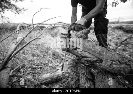 Grayscale shot of a lumberjack with a chainsaw in a forest Stock Photo