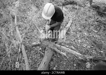 Grayscale shot of a lumberjack with a chainsaw in a forest Stock Photo